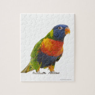 Female Rainbow Lorikeet - Trichoglossus Jigsaw Puzzle
