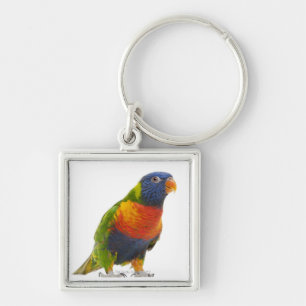 Female Rainbow Lorikeet - Trichoglossus Key Ring