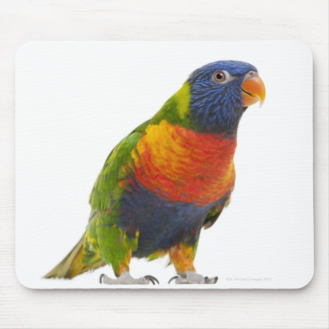 Female Rainbow Lorikeet - Trichoglossus Mouse Mat (Front)