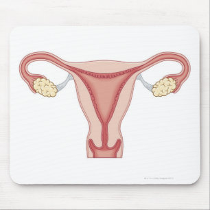 Female Reproductive System 2 Mouse Mat