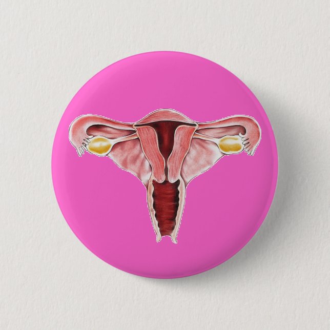 Female reproductive system button (Front)