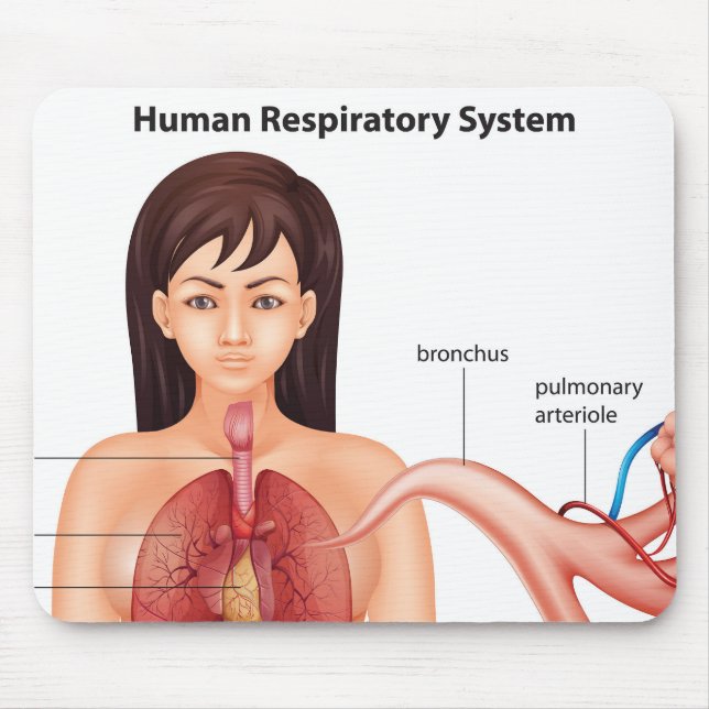 Female respiratory system   mouse mat (Front)