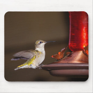 Female Ruby-throated Hummingbird Mouse Mat