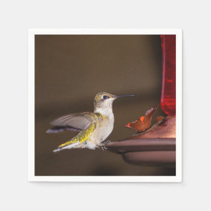 Female Ruby-throated Hummingbird Napkin