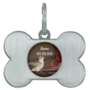 Female Ruby-throated Hummingbird Pet ID Tag