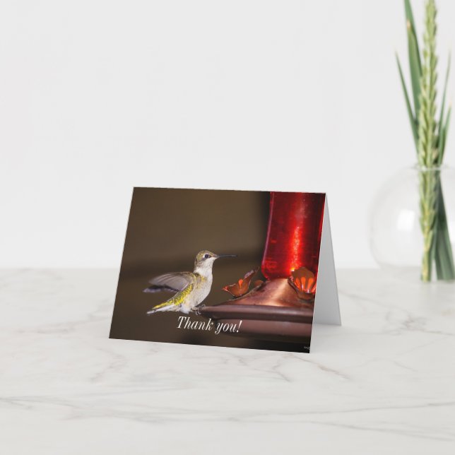 Female Ruby-throated Hummingbird Thank You Card (Front)