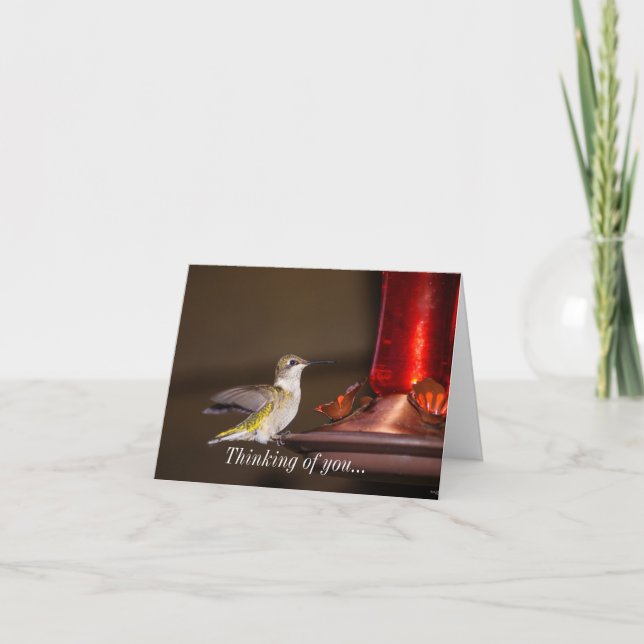 Female Ruby-throated Hummingbird Thinking Of You Card (Front)