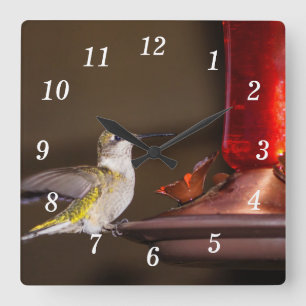 Female Ruby-throated Hummingbird Wall Clock