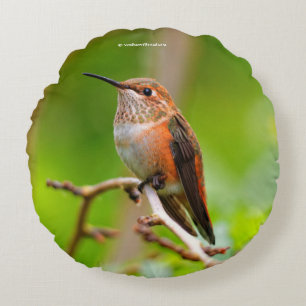 Female Rufous Hummingbird on the Plum Tree Round Cushion