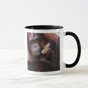 Female Sumatran Orangutan with baby, Pongo Mug