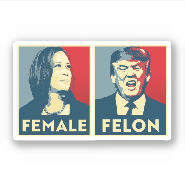 Female vs Felon (Front)