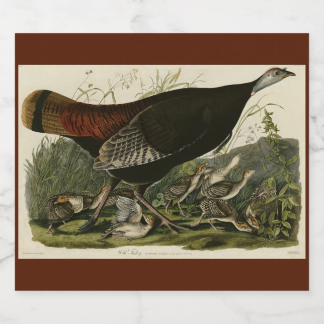 Female Wild Turkey from Audubon's Birds of America Beer Bottle Label (Single Label)