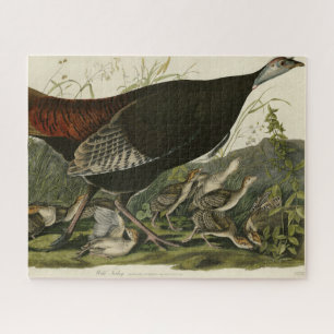 Female Wild Turkey from Audubon's Birds of America Jigsaw Puzzle