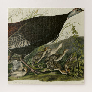 Female Wild Turkey from Audubon's Birds of America Jigsaw Puzzle
