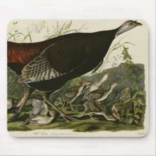 Female Wild Turkey from Audubon's Birds of America Mouse Mat