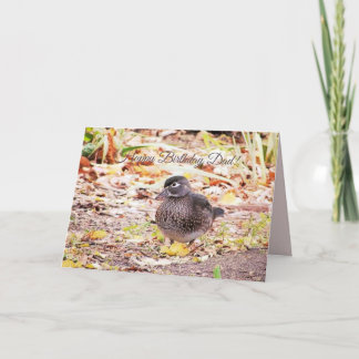 Female Wood Duck Birthday Greeting Card For Dad