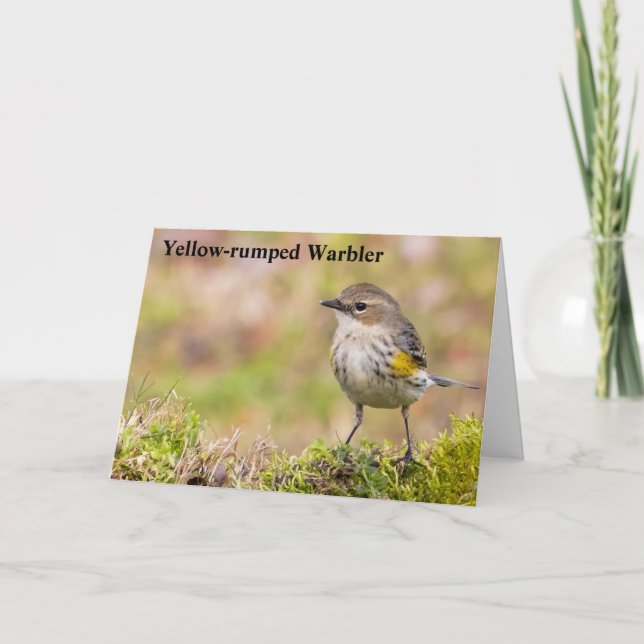 Female Yellow-rumped Warbler Thank You Card (Front)