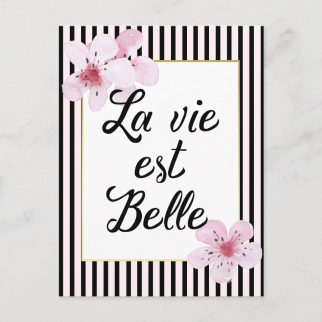 Feminine French Pink and Black Stripes and Flowers Postcard (Front)