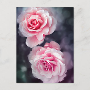 Feminine Pink Roses Floral Photo Postcard