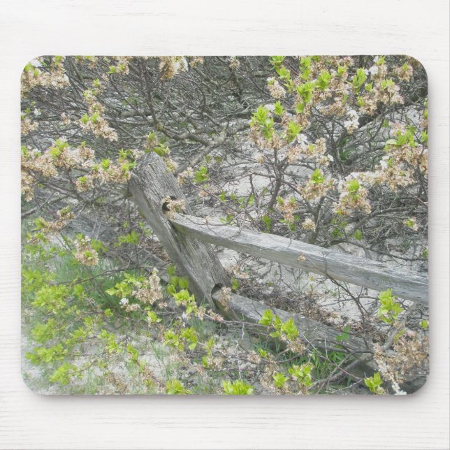 Fence Against Dunes IBSP Mousepad (Front)