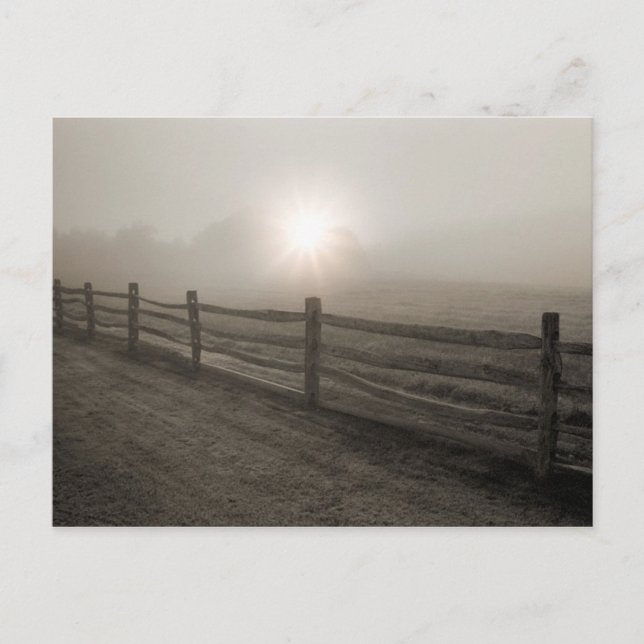 Fence and Sunburst Through Fog near Sharon Postcard (Front)