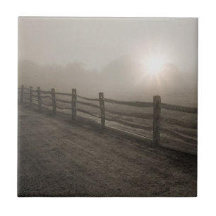 Fence and Sunburst Through Fog near Sharon Tile