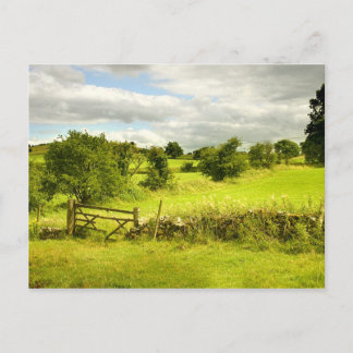Fence, fields and Meadowsweet Postcard