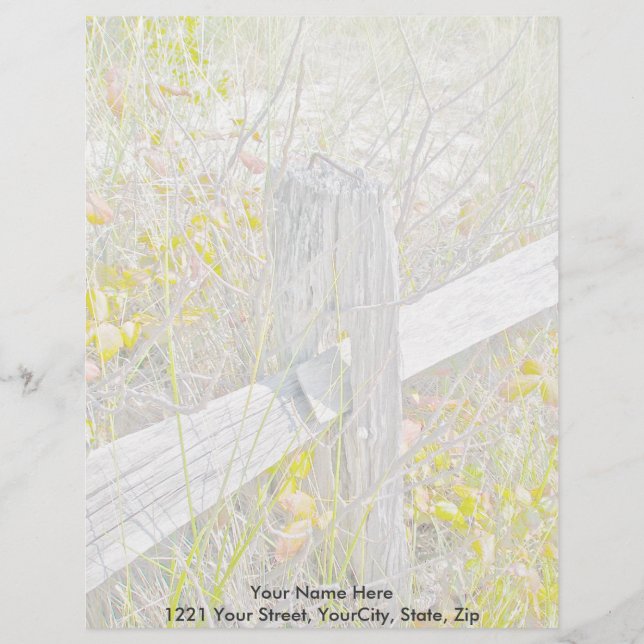Fence & Poison Ivy IBSP Letterhead Template (Front)