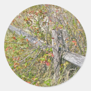 Fence & Poison Ivy IBSP NJ Coordinating Items Classic Round Sticker