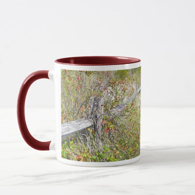 Fence & Poison Ivy IBSP NJ Coordinating Items Mug (Left)