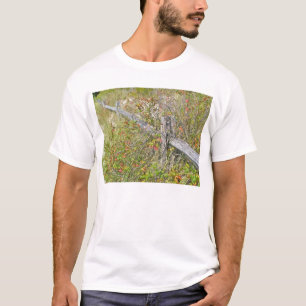 Fence & Poison Ivy IBSP NJ Coordinating Items T-Shirt