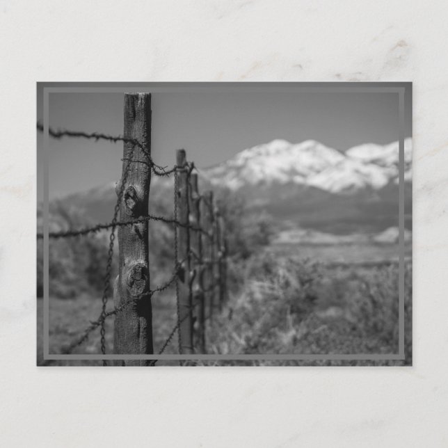 fence postcard (Front)