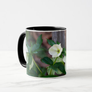 Fence with White Flowers Mug