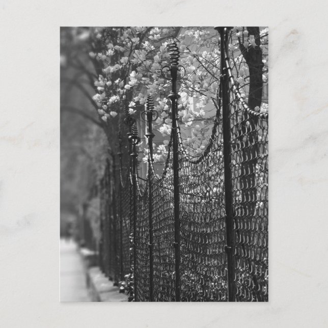 Fenced garden Postcard (Front)