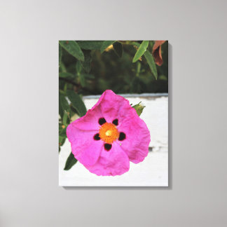 Fenced In Floral  Canvas Print