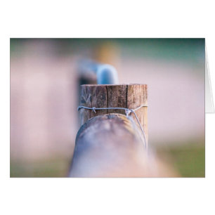 Fenceline detail