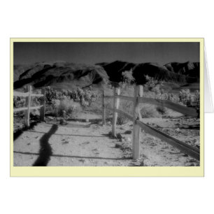 "Fences"