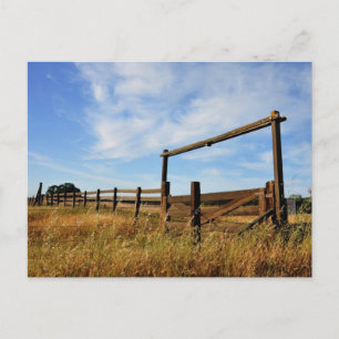 Fences in Field Postcard