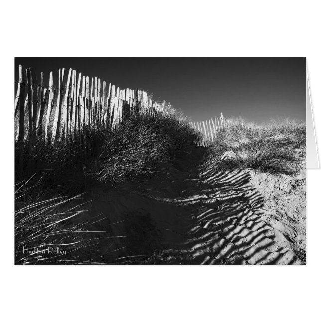 Fencing In The Dunes blank notelet / card (Front Horizontal)