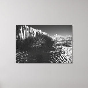 Fencing In The Dunes, fine art black and white Canvas Print