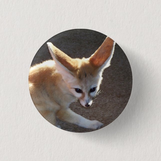 Fennec Fox 3 Cm Round Badge (Front)