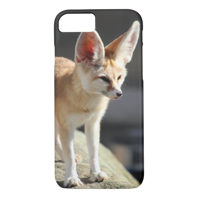 Fennec Fox Case-Mate iPhone Case (Back)