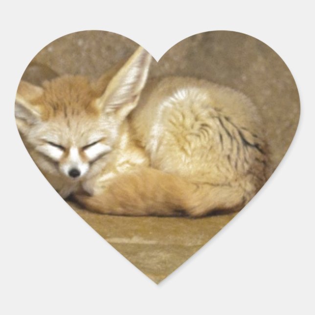 fennec fox heart sticker (Front)