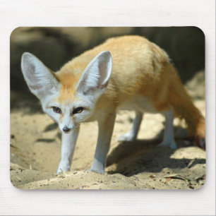 Fennec fox mouse mat