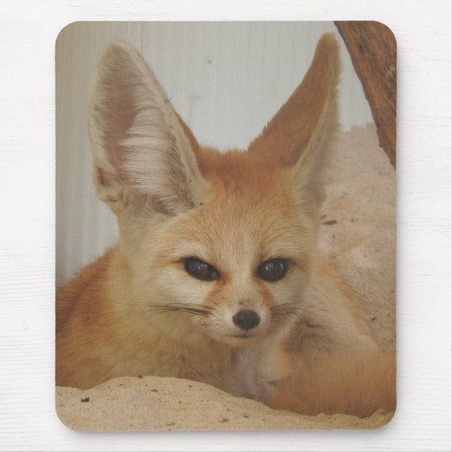Fennec Fox Mouse Mat (Front)
