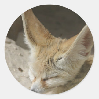 Fennec Fox Sticker