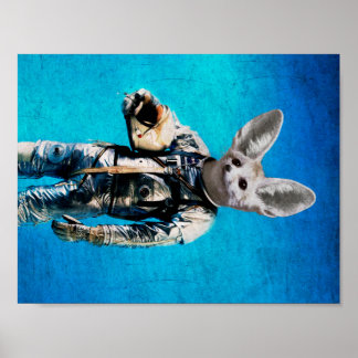 Fennec the captain poster