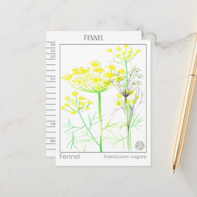 Fennel Materia Medical Herbal Study Card (Front/Back In Situ)