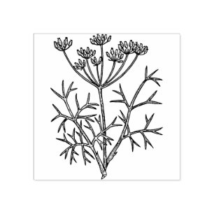Fennel Plant Rubber Stamp