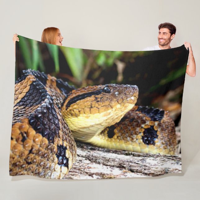 FER-DE-LANCE FLEECE BLANKET (In Situ)